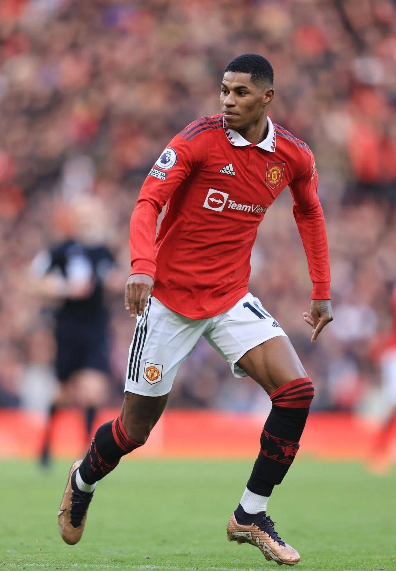 只是前期注 只是前期注